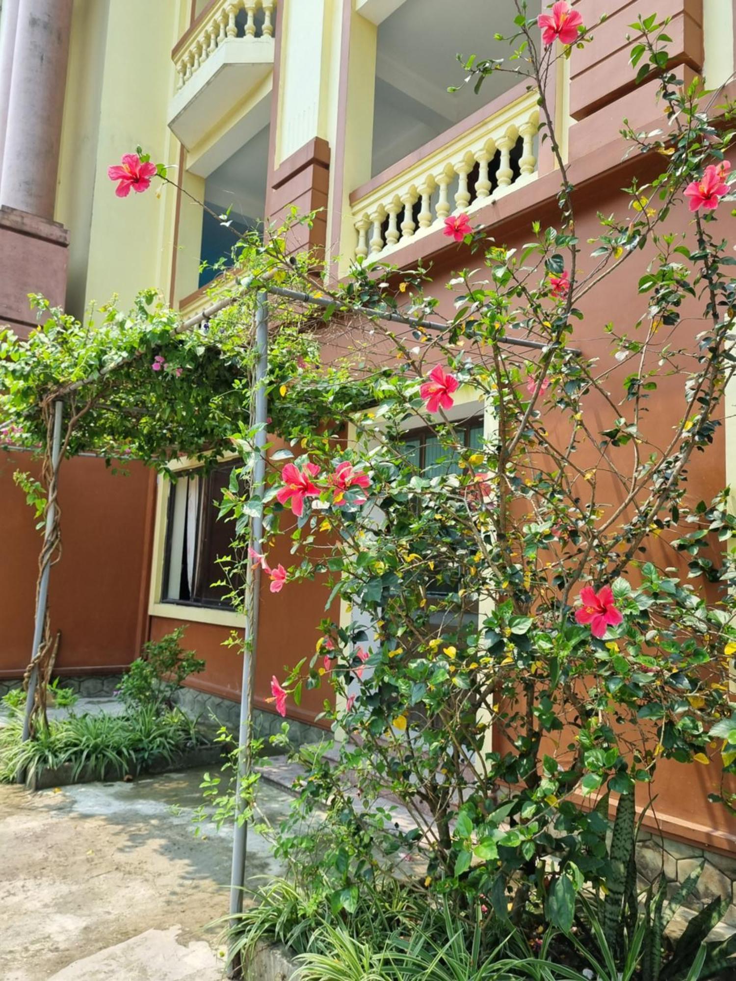Khach San Vien Dong Hotel Cửa Lò Eksteriør billede